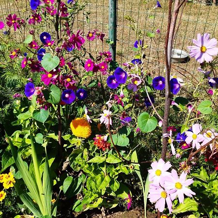 De Tuin Van Agatha Kortessem Zewnętrze zdjęcie