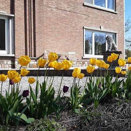 De Tuin Van Agatha Kortessem Zewnętrze zdjęcie