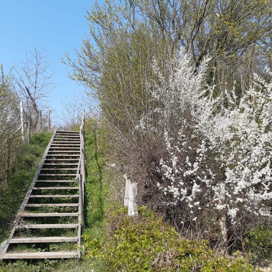 De Tuin Van Agatha Kortessem Zewnętrze zdjęcie