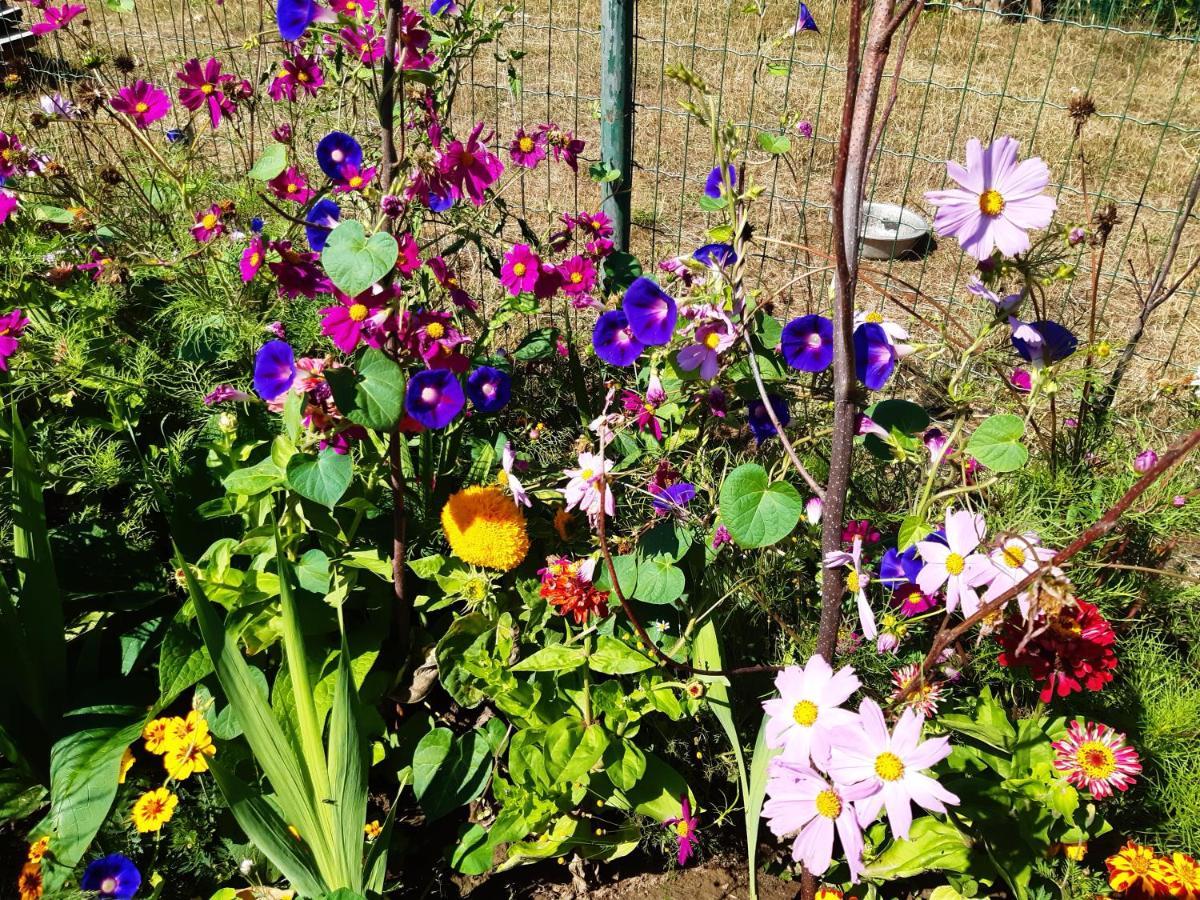 De Tuin Van Agatha Kortessem Zewnętrze zdjęcie