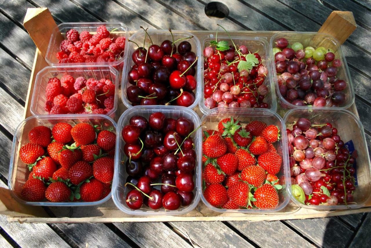 De Tuin Van Agatha Kortessem Zewnętrze zdjęcie