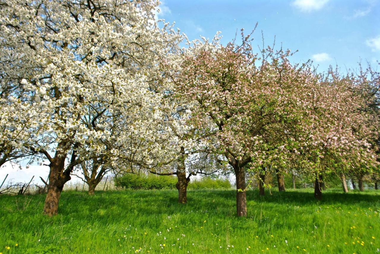 De Tuin Van Agatha Kortessem Zewnętrze zdjęcie