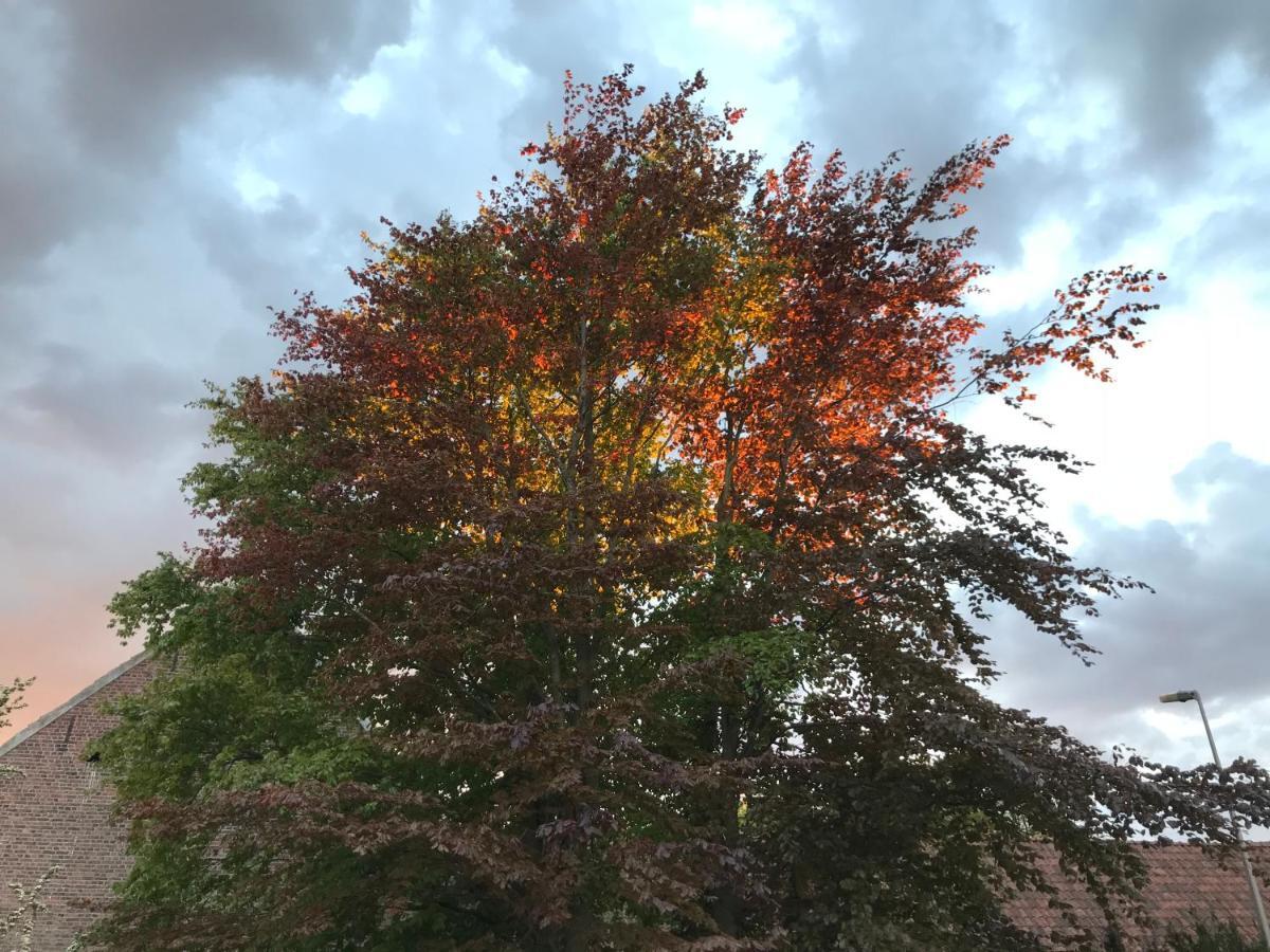 De Tuin Van Agatha Kortessem Zewnętrze zdjęcie